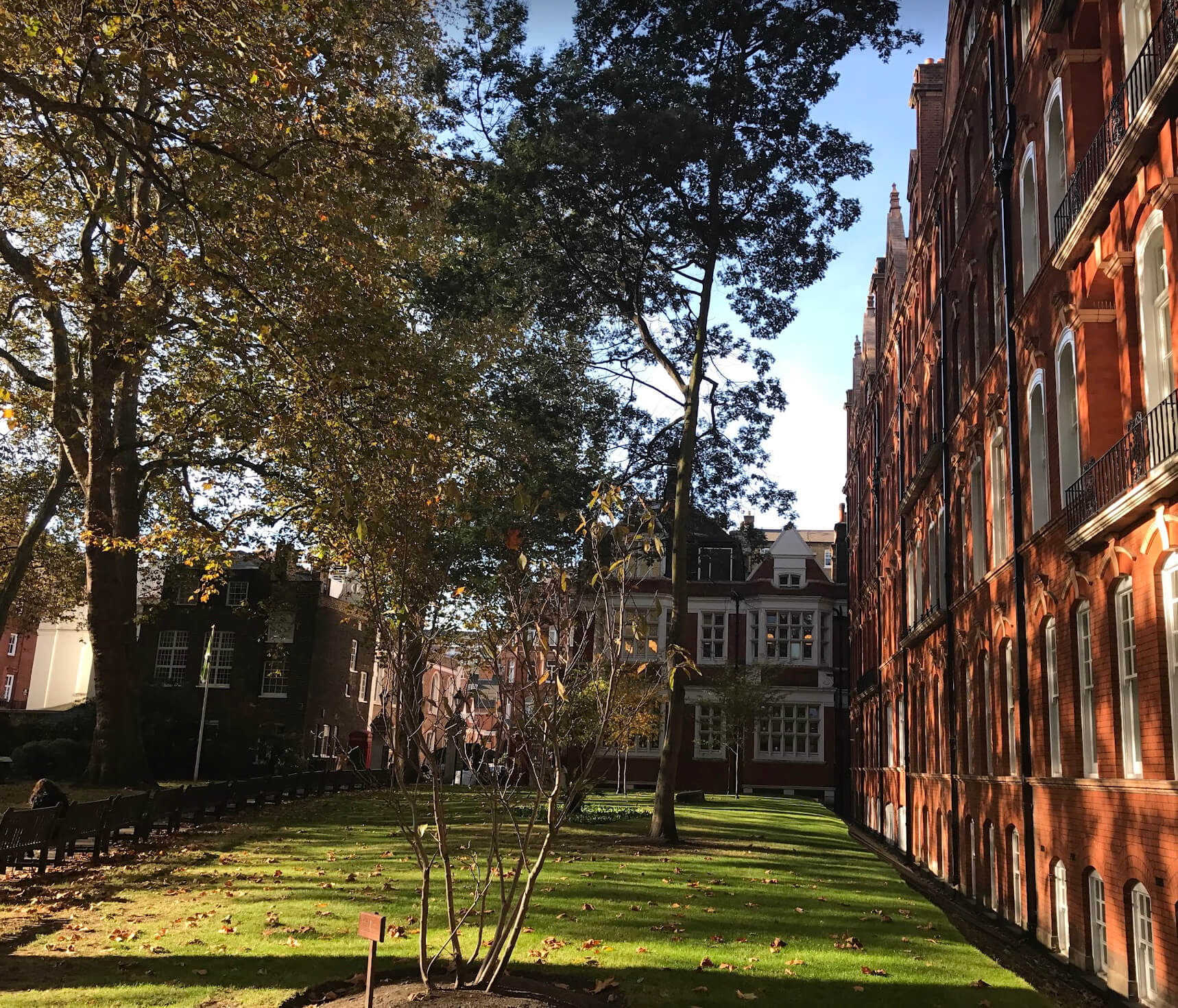 Foto på Hannes iPhone